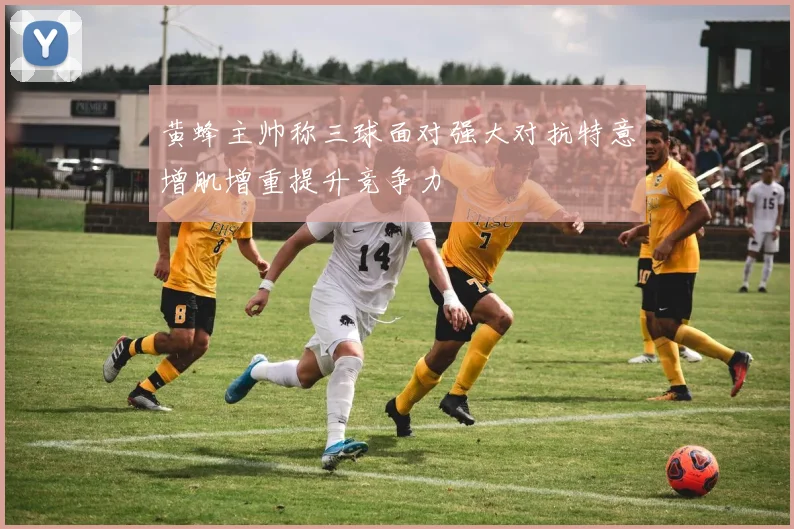 黄蜂主帅称三球面对强大对抗特意增肌增重提升竞争力
